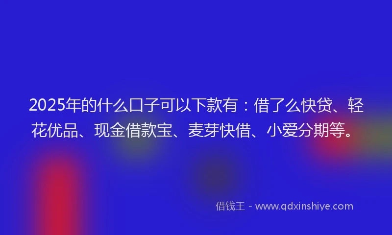 2025年的什么口子可以下款有：借了么快贷、轻花优品、现金借款宝、麦芽快借、小爱分期等。