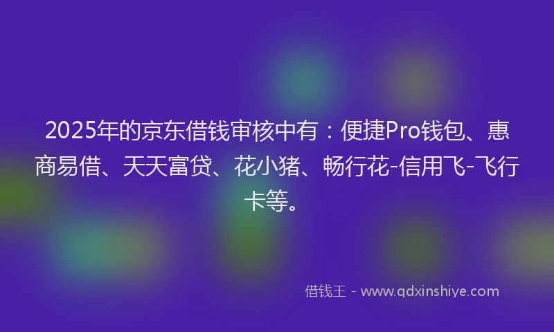 2025年的京东借钱审核中有：便捷Pro钱包、惠商易借、天天富贷、花小猪、畅行花-信用飞-飞行卡等。