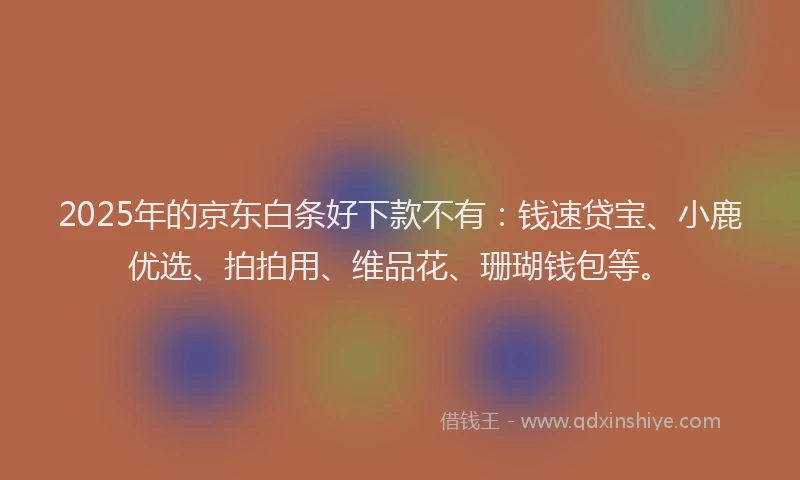 2025年的京东白条好下款不有：钱速贷宝、小鹿优选、拍拍用、维品花、珊瑚钱包等。