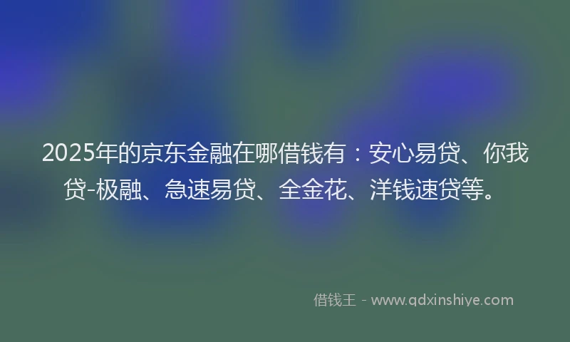 2025年的京东金融在哪借钱有：安心易贷、你我贷-极融、急速易贷、全金花、洋钱速贷等。