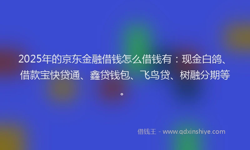 2025年的京东金融借钱怎么借钱有：现金白鸽、借款宝快贷通、鑫贷钱包、飞鸟贷、树融分期等。