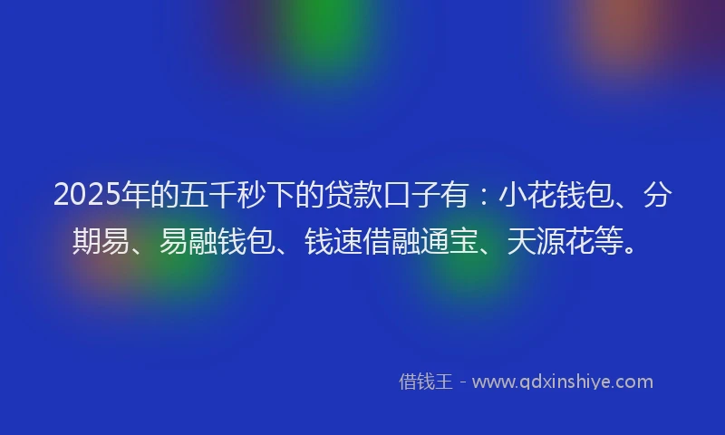2025年的五千秒下的贷款口子有:小花钱包、分期易、易融钱包、钱速借融通宝、天源花等。