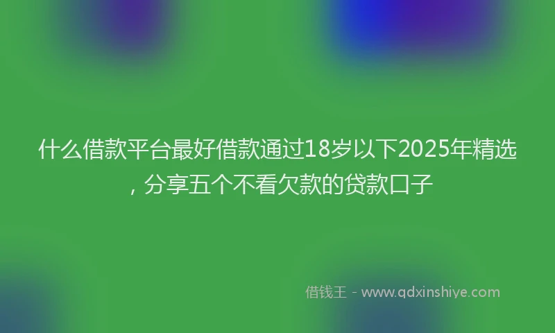 什么借款平台最好借款通过18岁以下2025年精选，分享五个不看欠款的贷款口子