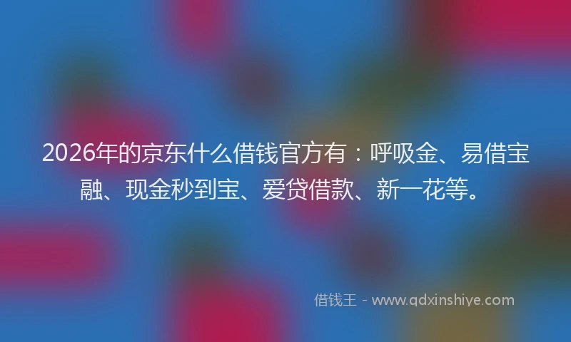 2026年的京东什么借钱官方有：呼吸金、易借宝融、现金秒到宝、爱贷借款、新一花等。
