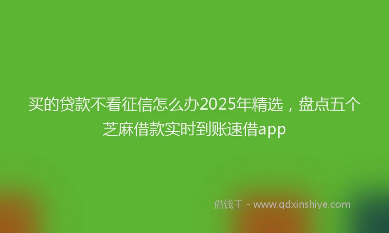 买的贷款不看征信怎么办2025年精选，盘点五个芝麻借款实时到账速借app