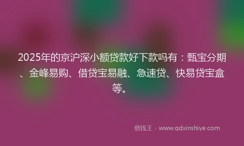 2025年的京沪深小额贷款好下款吗有:甄宝分期、金峰易购、借贷宝易融、急速贷、快易贷宝盒等。