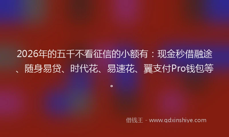 2026年的五千不看征信的小额有：现金秒借融途、随身易贷、时代花、易速花、翼支付Pro钱包等。