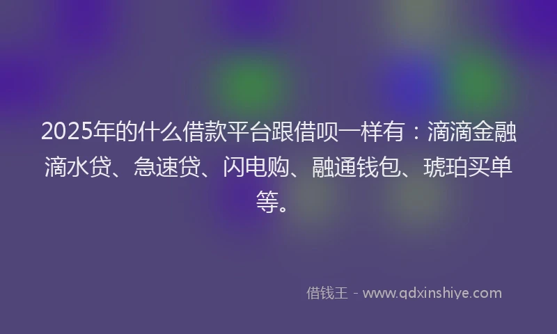 2025年的什么借款平台跟借呗一样有：滴滴金融滴水贷、急速贷、闪电购、融通钱包、琥珀买单等。