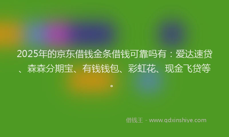 2025年的京东借钱金条借钱可靠吗有：爱达速贷、森森分期宝、有钱钱包、彩虹花、现金飞贷等。
