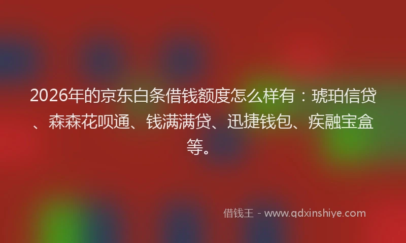 2026年的京东白条借钱额度怎么样有：琥珀信贷、森森花呗通、钱满满贷、迅捷钱包、疾融宝盒等。