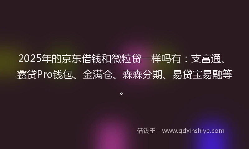 2025年的京东借钱和微粒贷一样吗有：支富通、鑫贷Pro钱包、金满仓、森森分期、易贷宝易融等。