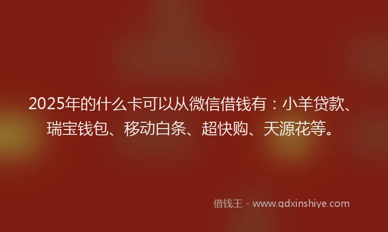 2025年的什么卡可以从微信借钱有：小羊贷款、瑞宝钱包、移动白条、超快购、天源花等。