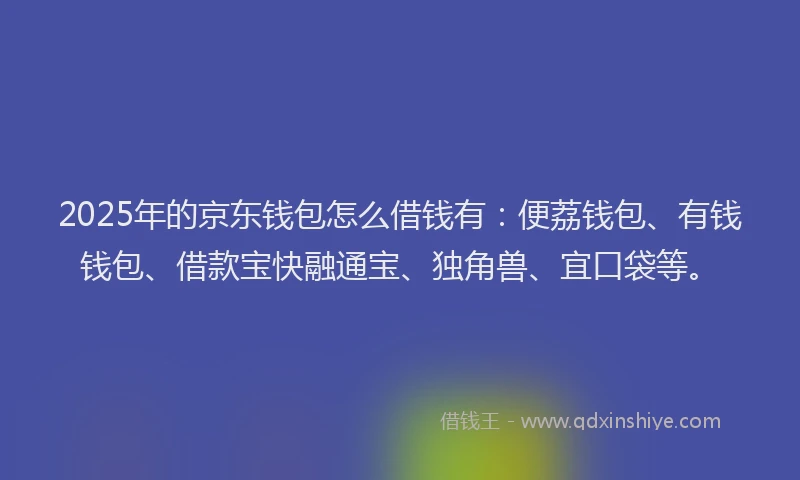 2025年的京东钱包怎么借钱有：便荔钱包、有钱钱包、借款宝快融通宝、独角兽、宜口袋等。