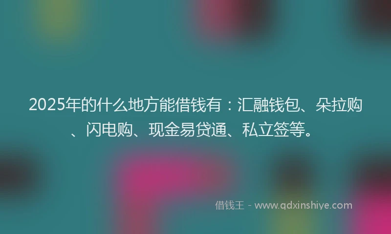 2025年的什么地方能借钱有:汇融钱包、朵拉购、闪电购、现金易贷通、私立签等。