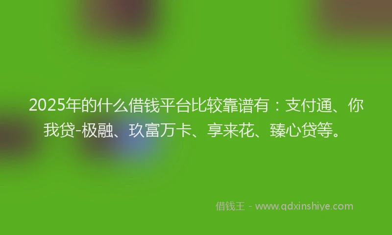 2025年的什么借钱平台比较靠谱有：支付通、你我贷-极融、玖富万卡、享来花、臻心贷等。