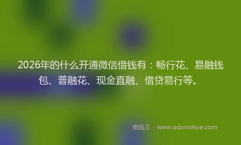 2026年的什么开通微信借钱有：畅行花、易融钱包、普融花、现金直融、借贷易行等。