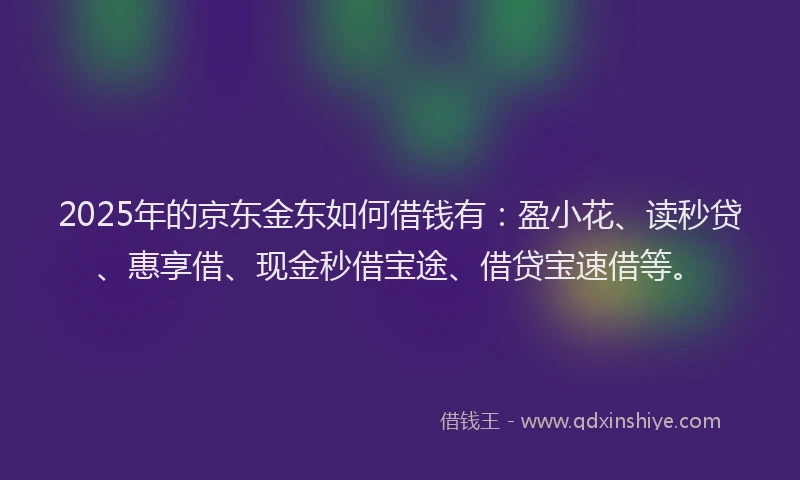 2025年的京东金东如何借钱有:盈小花、读秒贷、惠享借、现金秒借宝途、借贷宝速借等。