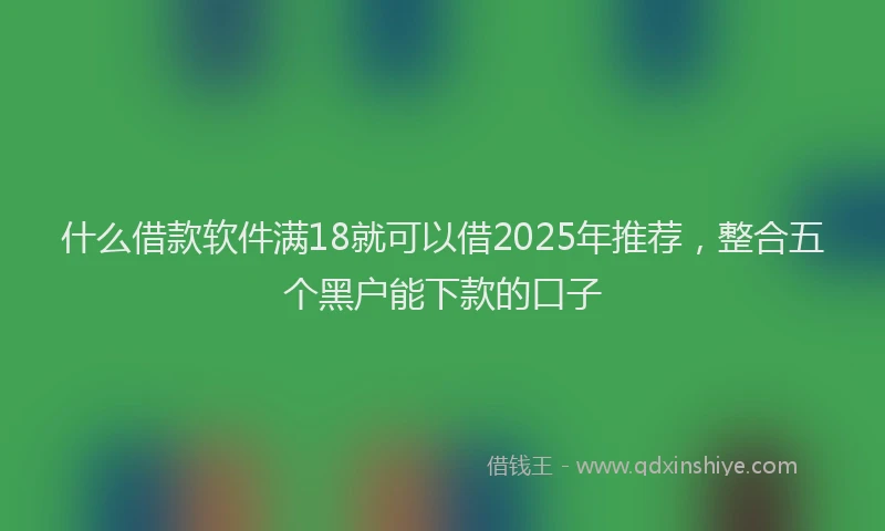 什么借款软件满18就可以借2025年推荐，整合五个黑户能下款的口子