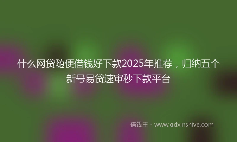 什么网贷随便借钱好下款2025年推荐，归纳五个新号易贷速审秒下款平台