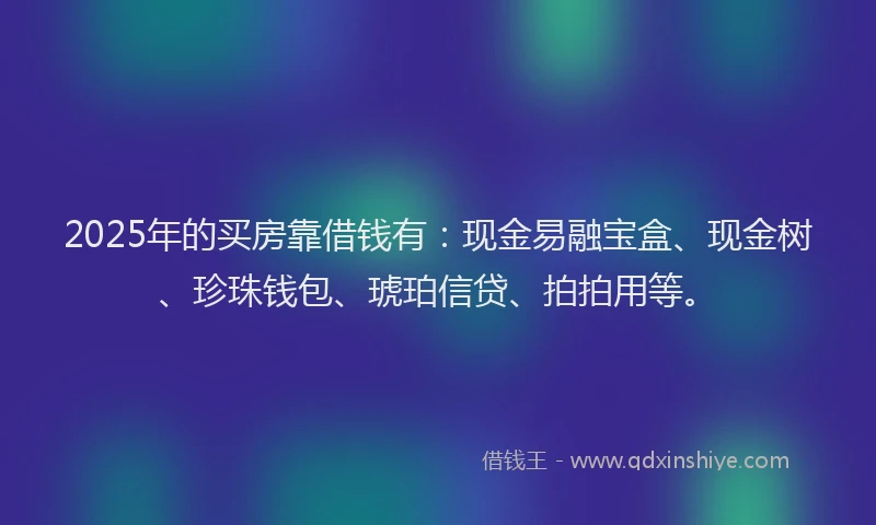 2025年的买房靠借钱有：现金易融宝盒、现金树、珍珠钱包、琥珀信贷、拍拍用等。