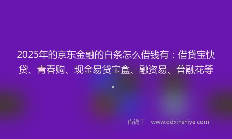 2025年的京东金融的白条怎么借钱有：借贷宝快贷、青春购、现金易贷宝盒、融资易、普融花等。