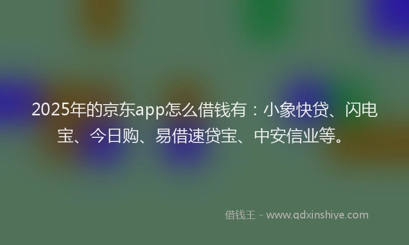 2025年的京东app怎么借钱有：小象快贷、闪电宝、今日购、易借速贷宝、中安信业等。