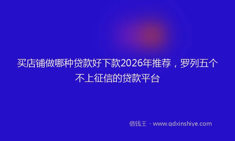 买店铺做哪种贷款好下款2026年推荐，罗列五个不上征信的贷款平台