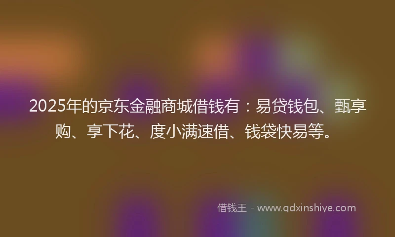 2025年的京东金融商城借钱有：易贷钱包、甄享购、享下花、度小满速借、钱袋快易等。