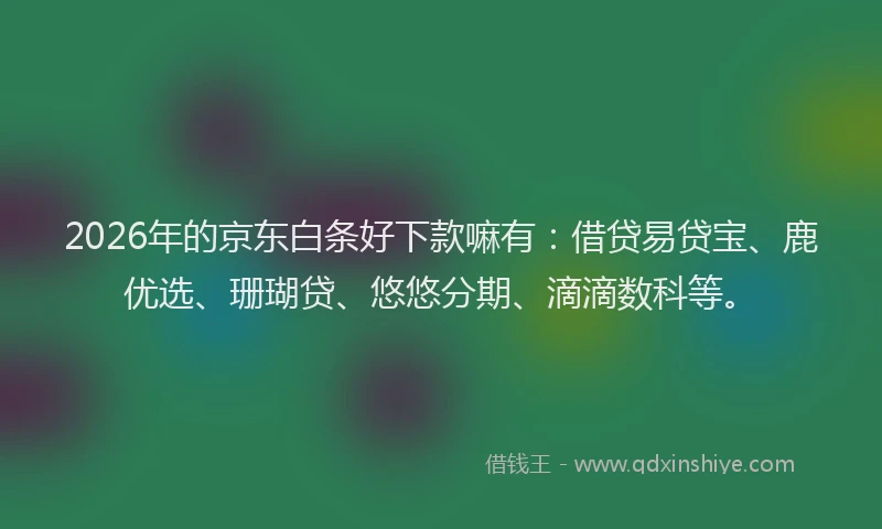 2026年的京东白条好下款嘛有：借贷易贷宝、鹿优选、珊瑚贷、悠悠分期、滴滴数科等。