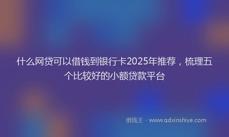 什么网贷可以借钱到银行卡2025年推荐，梳理五个比较好的小额贷款平台