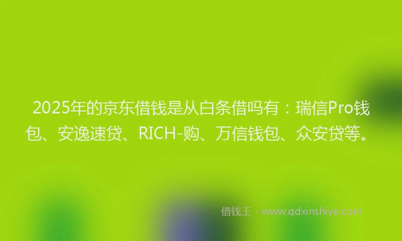 2025年的京东借钱是从白条借吗有：瑞信Pro钱包、安逸速贷、RICH-购、万信钱包、众安贷等。