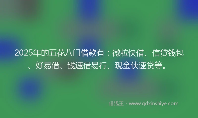 2025年的五花八门借款有:微粒快借、信贷钱包、好易借、钱速借易行、现金侠速贷等。