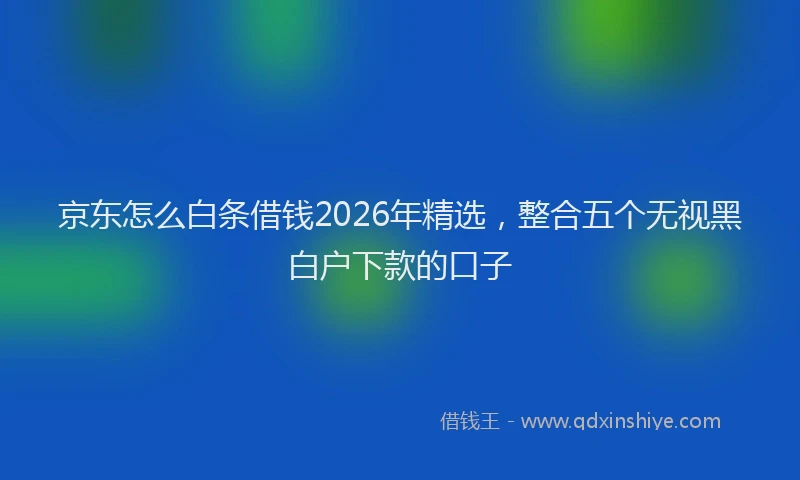 京东怎么白条借钱2026年精选，整合五个无视黑白户下款的口子