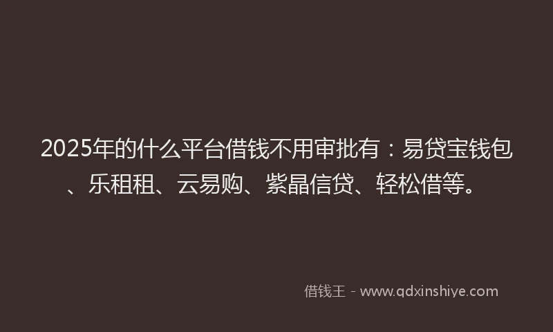2025年的什么平台借钱不用审批有：易贷宝钱包、乐租租、云易购、紫晶信贷、轻松借等。