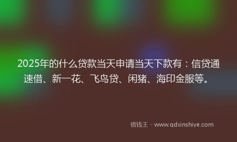 2025年的什么贷款当天申请当天下款有：信贷通速借、新一花、飞鸟贷、闲猪、海印金服等。