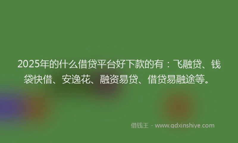 2025年的什么借贷平台好下款的有:飞融贷、钱袋快借、安逸花、融资易贷、借贷易融途等。