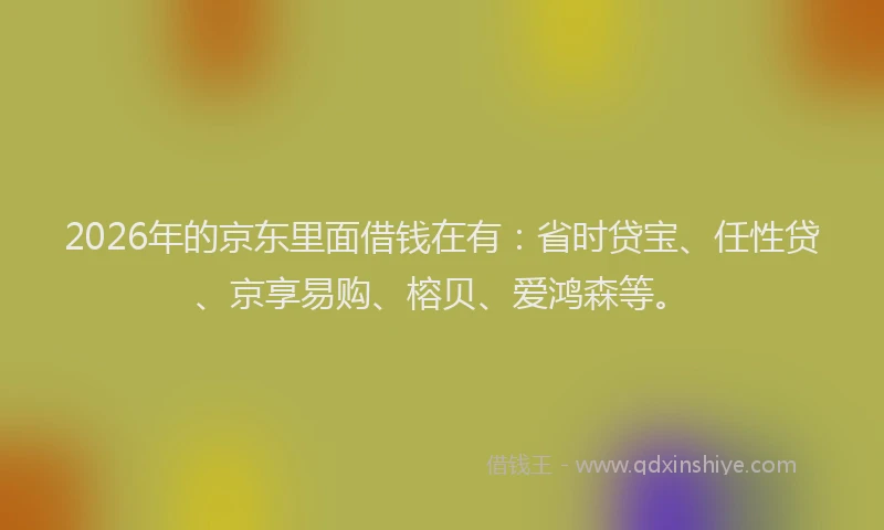 2026年的京东里面借钱在有：省时贷宝、任性贷、京享易购、榕贝、爱鸿森等。