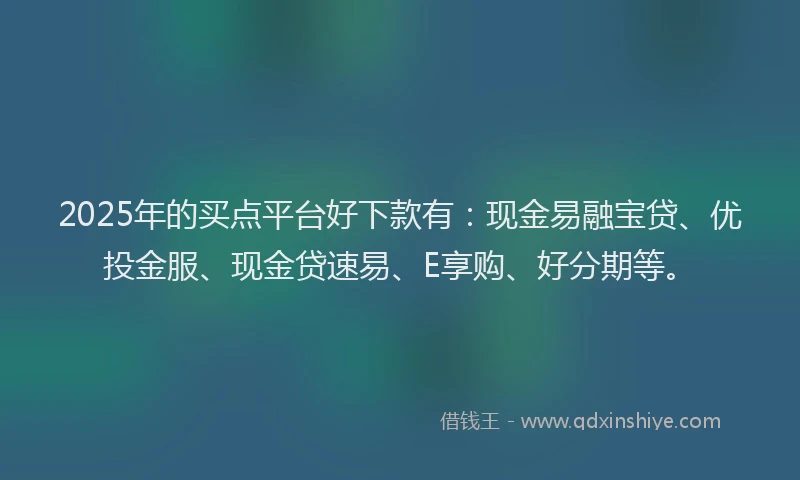 2025年的买点平台好下款有：现金易融宝贷、优投金服、现金贷速易、E享购、好分期等。