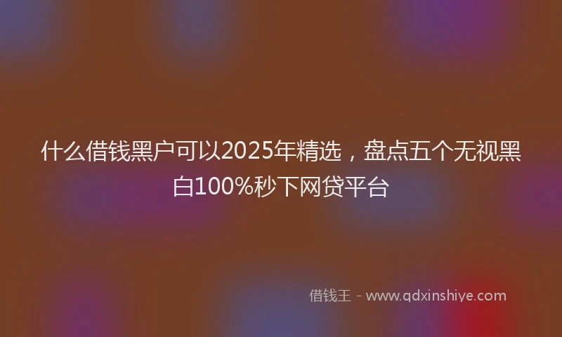 什么借钱黑户可以2025年精选，盘点五个无视黑白100%秒下网贷平台