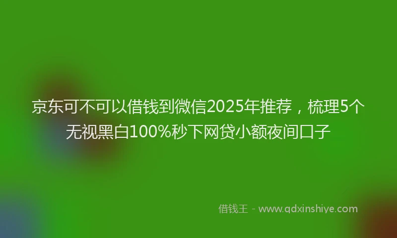 京东可不可以借钱到微信2025年推荐，梳理5个无视黑白100%秒下网贷小额夜间口子