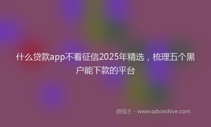 什么贷款app不看征信2025年精选,梳理五个黑户能下款的平台