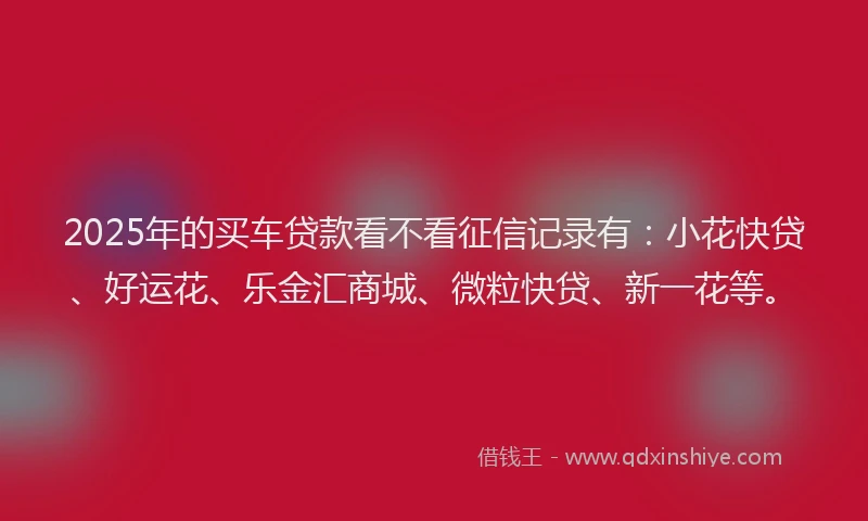 2025年的买车贷款看不看征信记录有：小花快贷、好运花、乐金汇商城、微粒快贷、新一花等。