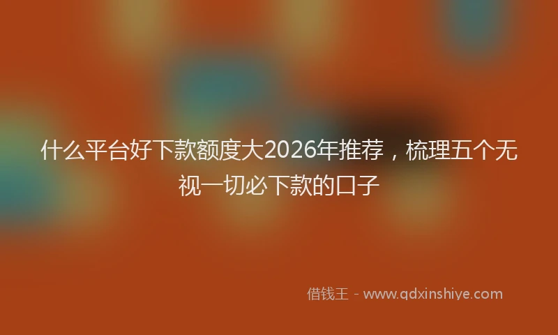 什么平台好下款额度大2026年推荐，梳理五个无视一切必下款的口子