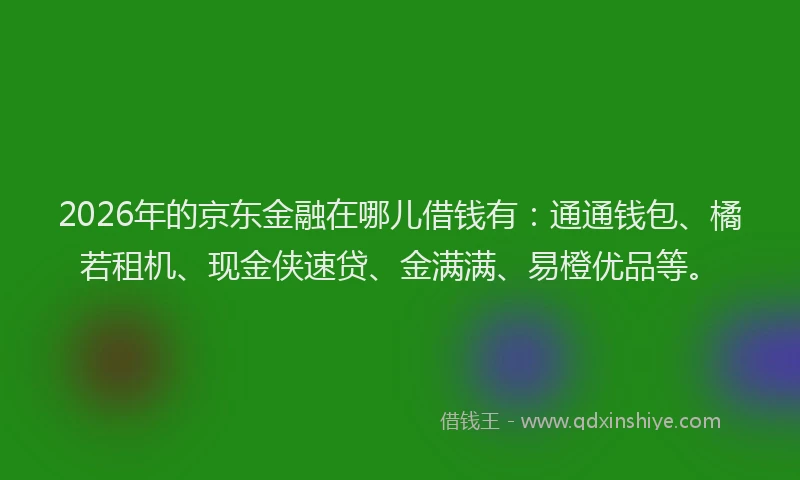 2026年的京东金融在哪儿借钱有：通通钱包、橘若租机、现金侠速贷、金满满、易橙优品等。