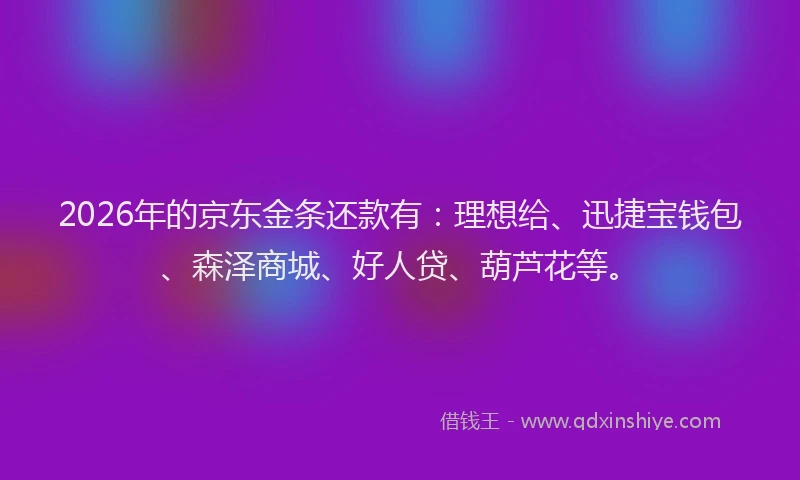 2026年的京东金条还款有:理想给、迅捷宝钱包、森泽商城、好人贷、葫芦花等。