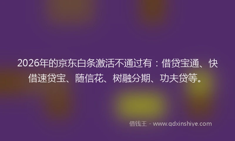 2026年的京东白条激活不通过有：借贷宝通、快借速贷宝、随信花、树融分期、功夫贷等。