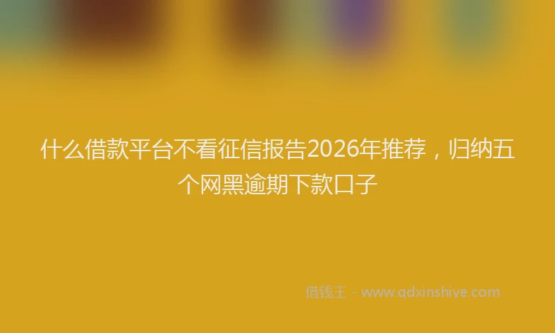 什么借款平台不看征信报告2026年推荐，归纳五个网黑逾期下款口子