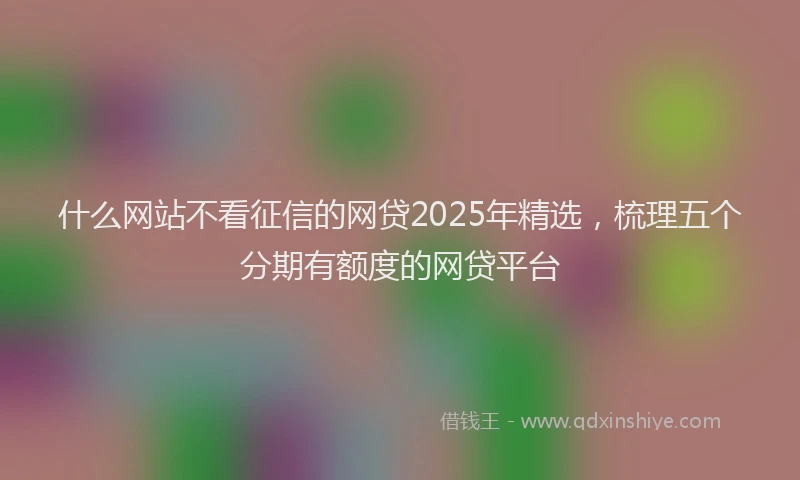 什么网站不看征信的网贷2025年精选，梳理五个分期有额度的网贷平台