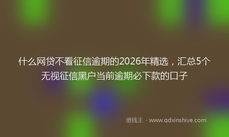 什么网贷不看征信逾期的2026年精选，汇总5个无视征信黑户当前逾期必下款的口子