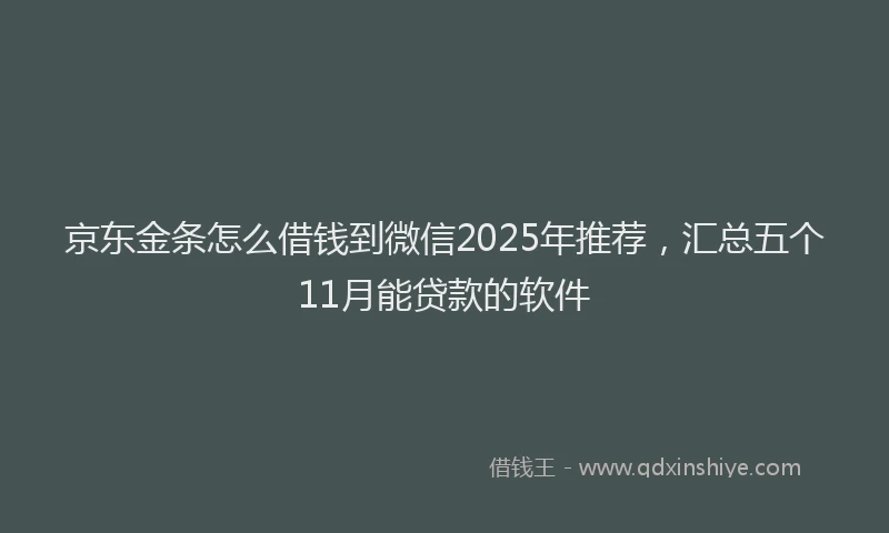 京东金条怎么借钱到微信2025年推荐，汇总五个11月能贷款的软件